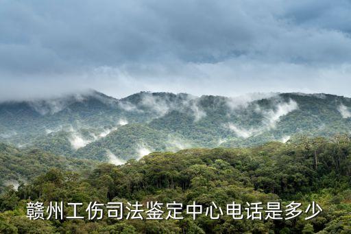 贛州市人社局,江西省贛州市人社局