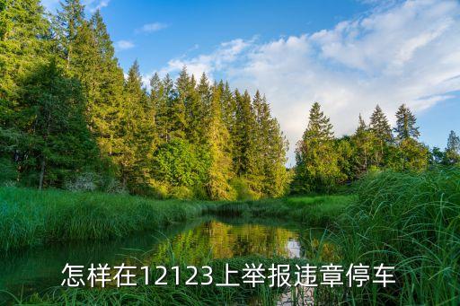怎樣在12123上舉報(bào)違章停車