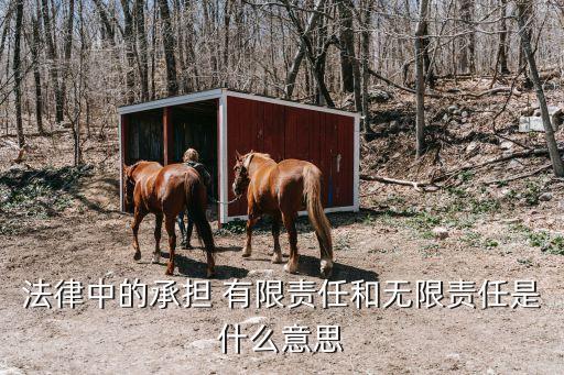 有限責(zé)任