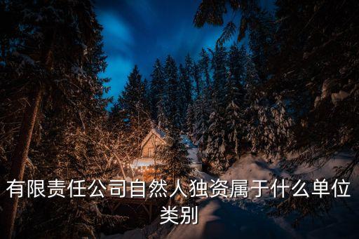 有限責(zé)任公司自然人獨資屬于什么單位類別