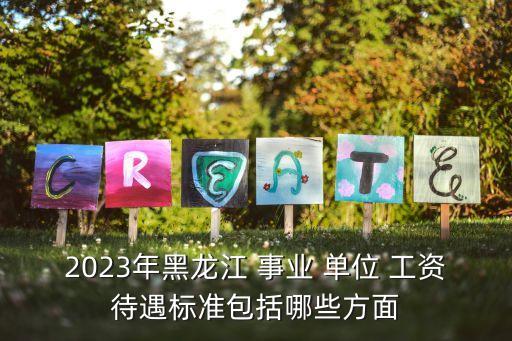 2023年黑龍江 事業(yè) 單位 工資待遇標(biāo)準(zhǔn)包括哪些方面