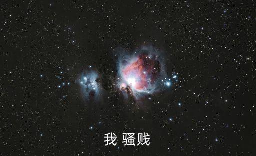 我 騷賤