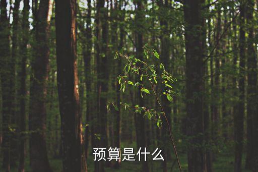 預(yù)算是什么