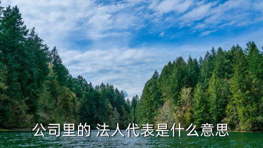 法人代表是什么意思,注冊公司當(dāng)法人有什么風(fēng)險(xiǎn)嗎
