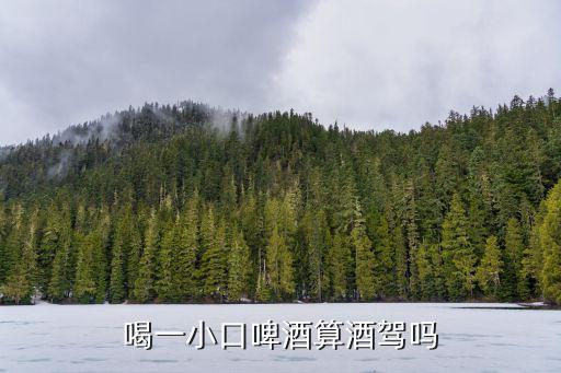 一口酒算酒駕嗎，喝一小口啤酒算酒駕嗎