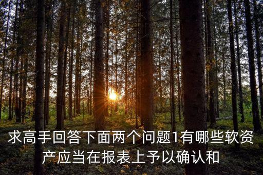 王友生，雷伽電子老板是誰