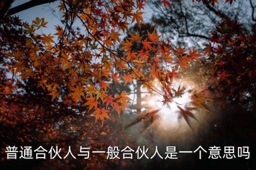 普通合伙人與一般合伙人是一個(gè)意思嗎