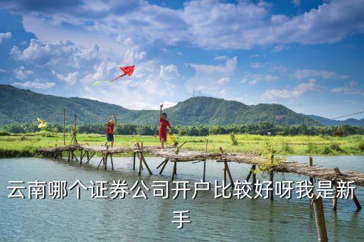 云南哪個證券公司開戶比較好呀我是新手