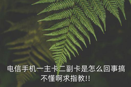 電信副卡