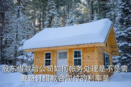 股東借款，公司大股東是否可以向公司借款