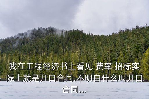 費(fèi)率招標(biāo)什么意思,費(fèi)率是什么意思?