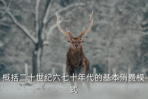 概括二十世紀(jì)六七十年代的基本消費(fèi)模式