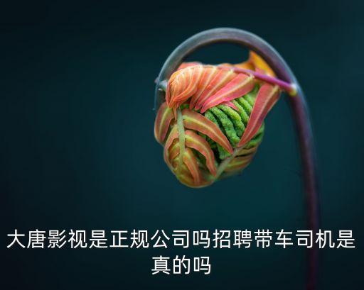 大唐傳媒，鄭州大唐文化傳媒