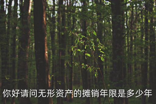 你好請(qǐng)問(wèn)無(wú)形資產(chǎn)的攤銷(xiāo)年限是多少年