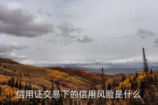 信用風(fēng)險(xiǎn)，商業(yè)信用由此帶來(lái)的風(fēng)險(xiǎn)