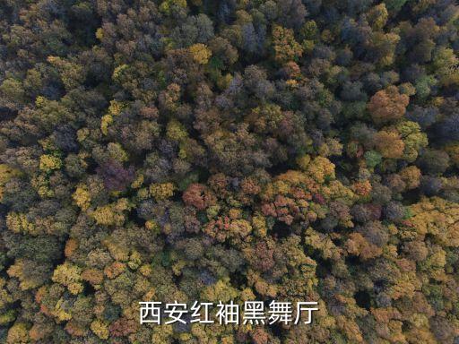 西安黑舞廳，西安現(xiàn)還有黑舞廳之類的娛樂場(chǎng)所嗎