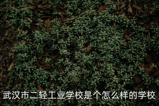 武漢市二輕工業(yè)學(xué)校是個怎么樣的學(xué)校