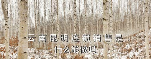 云 南 昆 明 連 鎖 銷 售 是什么能做嗎