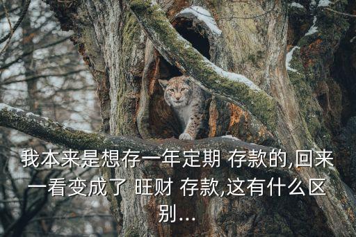 旺財(cái)存款