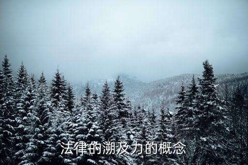 法的溯及力，我國(guó)社會(huì)主義法是否具有溯及力
