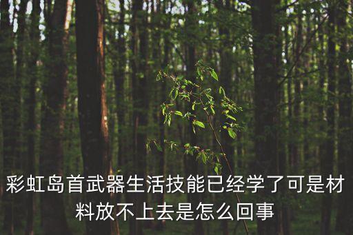 彩虹島首武器生活技能已經(jīng)學(xué)了可是材料放不上去是怎么回事