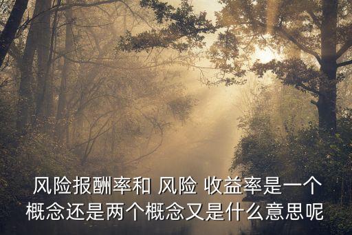  風(fēng)險報(bào)酬率和 風(fēng)險 收益率是一個概念還是兩個概念又是什么意思呢