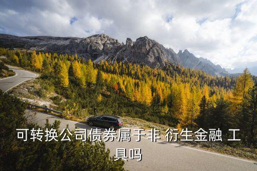可轉(zhuǎn)換公司債券屬于非 衍生金融 工具嗎