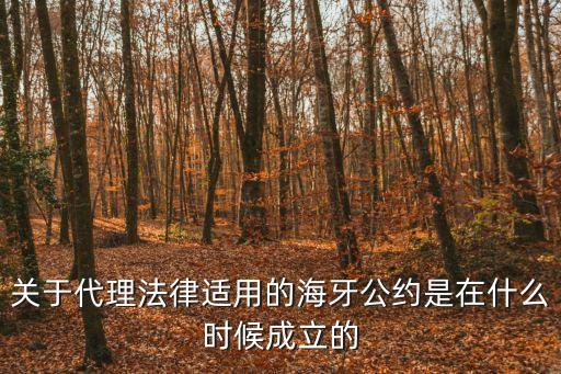 海牙公約，什么是海牙協(xié)定
