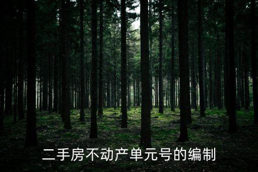 不動(dòng)產(chǎn)單元號(hào)，房產(chǎn)證 幢號(hào) 單元