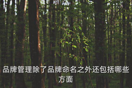 品牌管理除了品牌命名之外還包括哪些方面