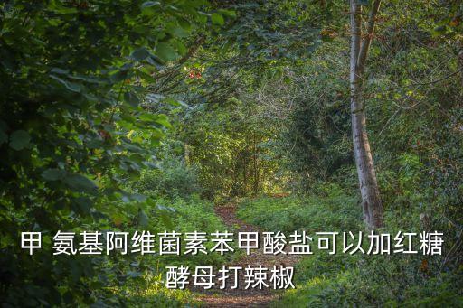 甲氨基