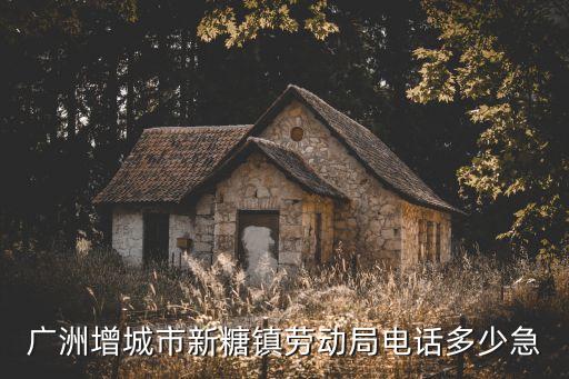 附近勞動(dòng)局電話，廣洲增城市新糖鎮(zhèn)勞動(dòng)局電話多少急