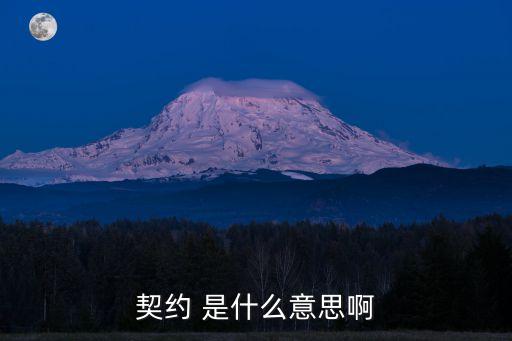 契約 是什么意思啊