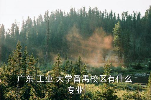  廣東 工業(yè) 大學(xué)番禺校區(qū)有什么 專業(yè)