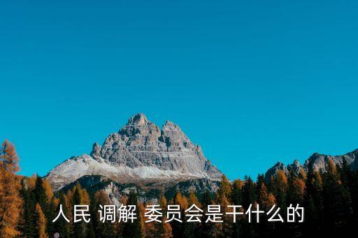 人民 調(diào)解 委員會(huì)是干什么的