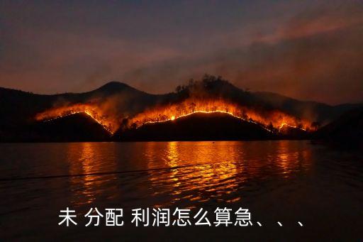 未 分配 利潤(rùn)怎么算急、、、