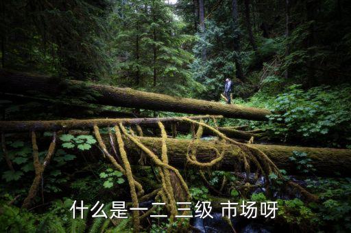 三級(jí)市場(chǎng),房地產(chǎn)三級(jí)市場(chǎng)