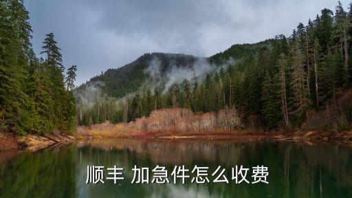 順豐加急