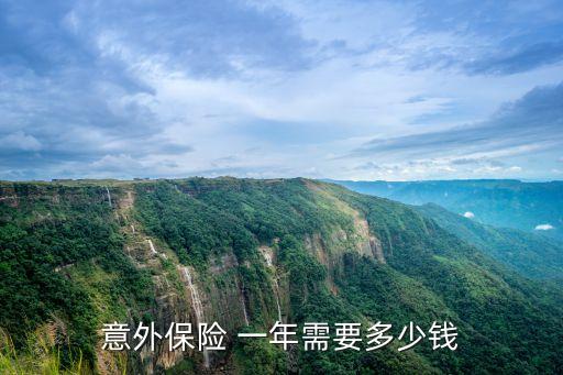 人身意外險(xiǎn)一年多少錢