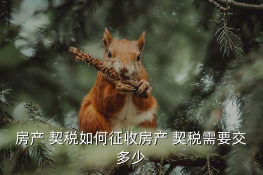 房產(chǎn) 契稅如何征收房產(chǎn) 契稅需要交多少