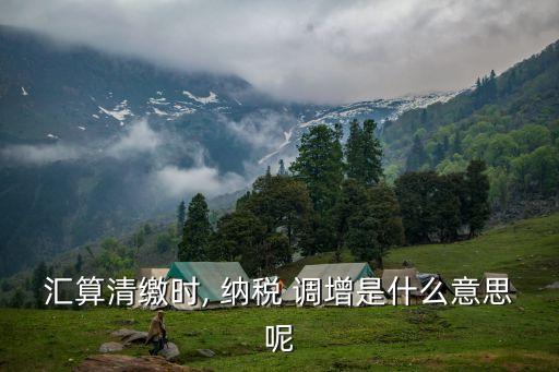 納稅調(diào)增