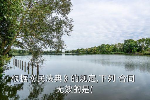 下列合同無效的有,下列屬于合同無效情形包括
