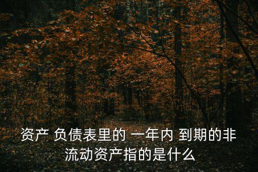 一年內(nèi)到期的非流動(dòng)負(fù)債