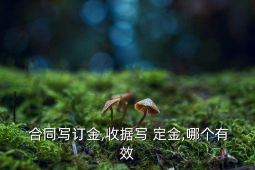 什么是定金合同法律效力