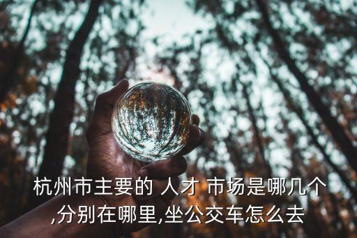 杭州人才市場(chǎng)