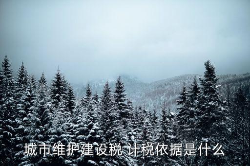 城建稅的計稅依據(jù),留抵退稅退還城建稅的計稅依據(jù)