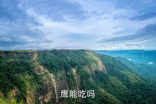 老鷹是保護(hù)動物嗎,抓一只老鷹判刑多少天