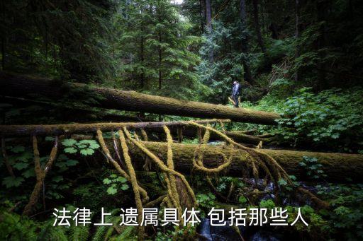 遺屬包括哪些人,2023遺屬補助政策