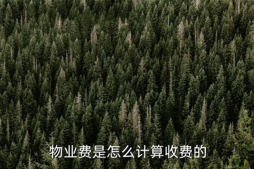 物業(yè)費(fèi)怎么算的,如果未入住,物業(yè)費(fèi)怎么算的