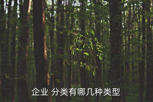 企業(yè) 分類有哪幾種類型